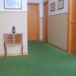 Cucciolo 2* Donoratico